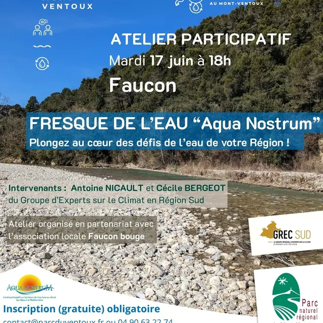 Atelier fresque de l’eau « Aqua Nostrum »_Faucon