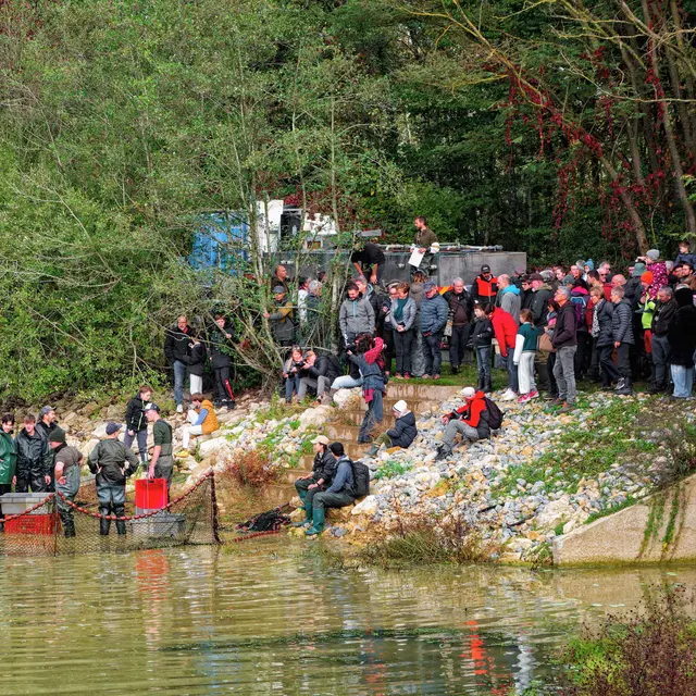 Pêche d'étang