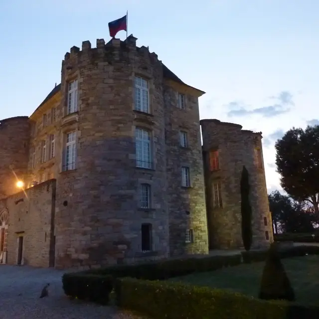 chateau de nuit