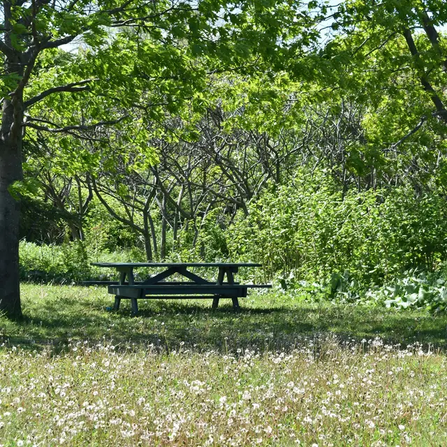 Aire de pique nique D'Aiglun_Aiglun