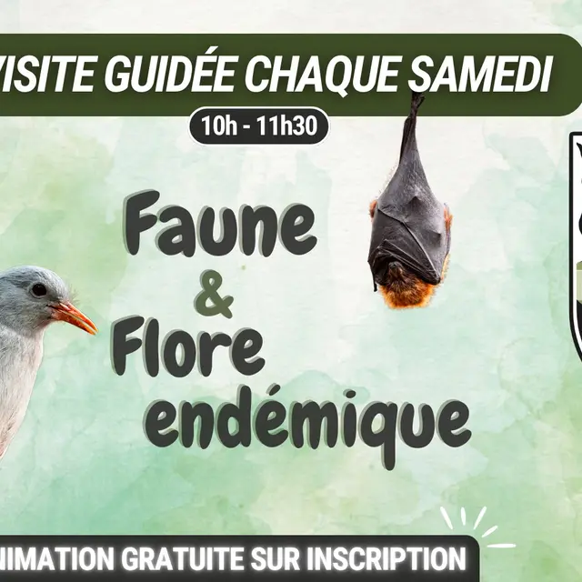 Faune et flore endémique - Parc Zoologique et Forestier_Nouméa