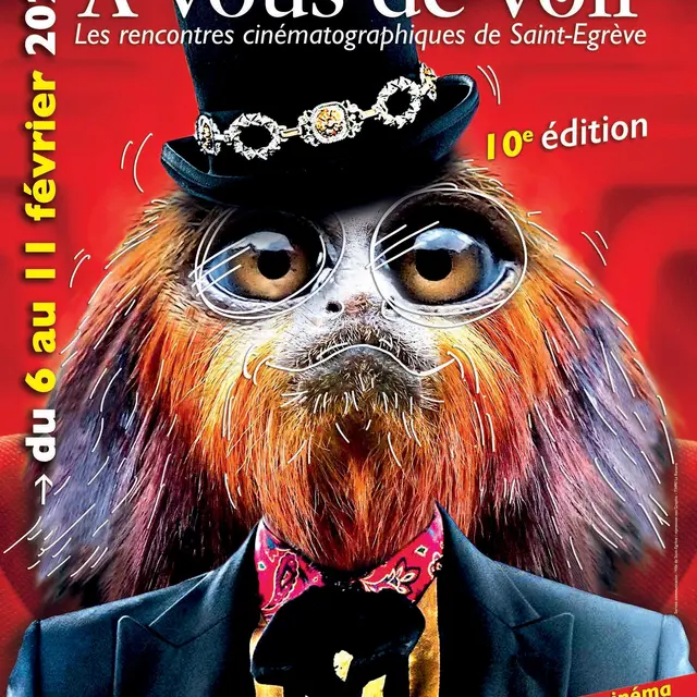 Festival À vous de voir_Saint-Égrève