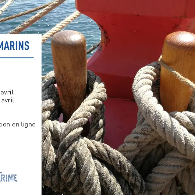 Jeune public - Visite/Atelier famille Nœuds marins_Toulon