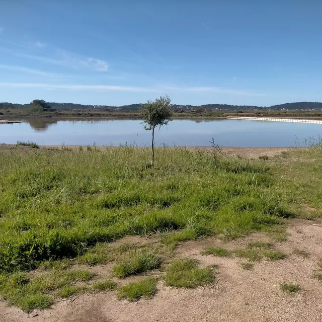Boucle cyclable des salins des pesquiers à 'l'ayguade_Hyères
