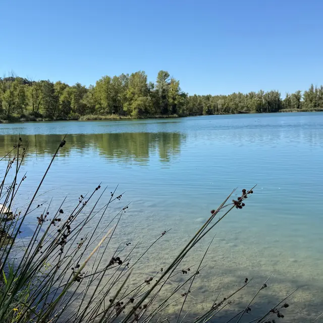 Lac de pêche Joël Siguret_Les Mées