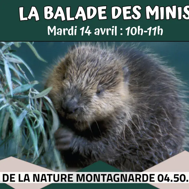 La Balade des Minis : le mini castor_Sallanches