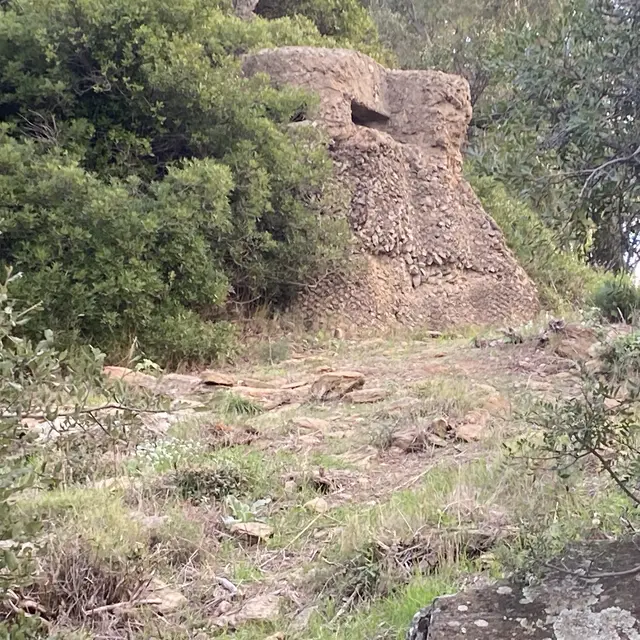 Randonnée pédestre Entre mémoire et nature : de l'occupation au débarquement_Bormes-les-Mimosas