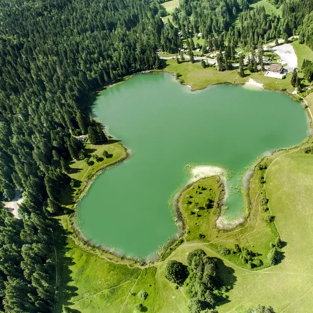 Lac Genin