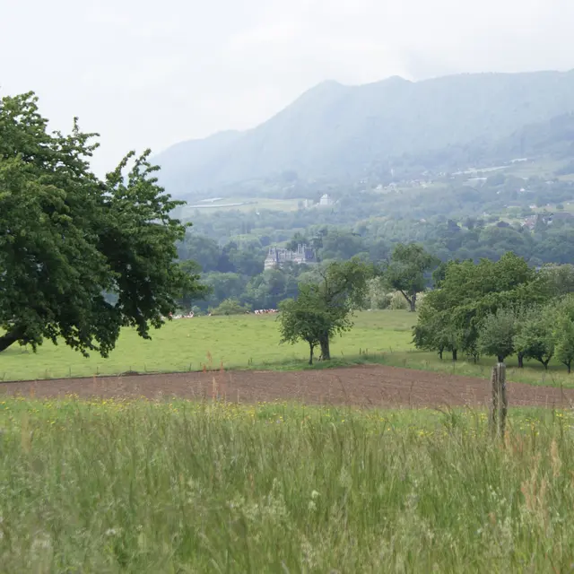 Boucle des marais