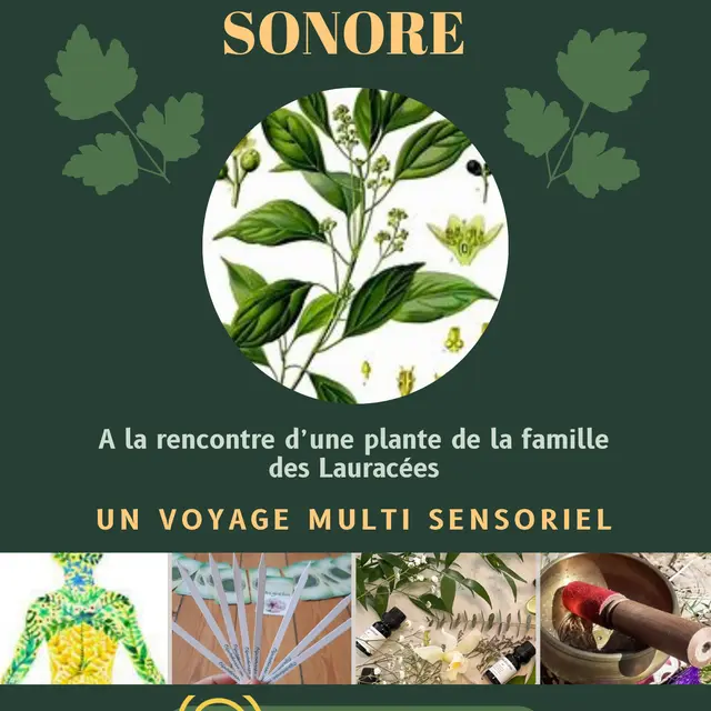 Relaxation olfactive et sonore