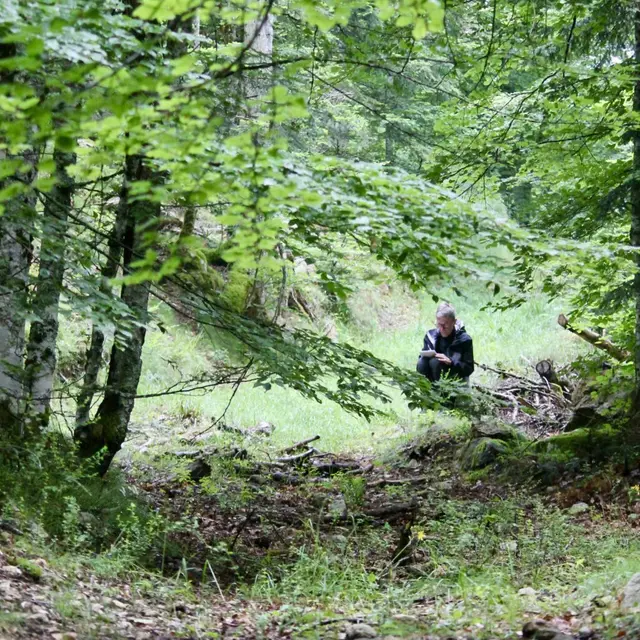 Écrire en forêt_Montferrier