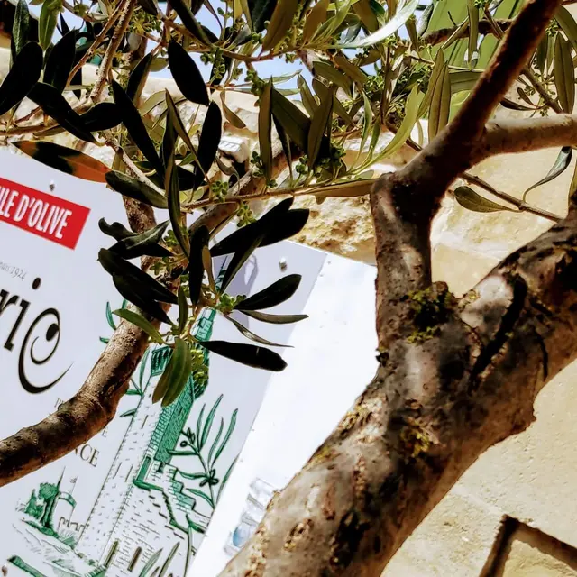 La Coop des 2 B - Huilerie Beaucaire_Beaucaire