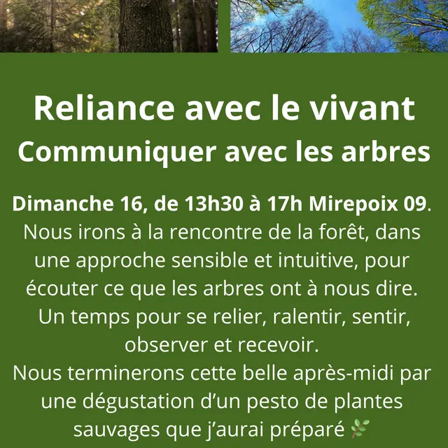 Reliance avec le Vivant - Communiquer avec les arbres