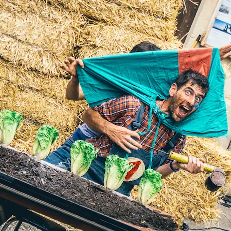 C'est pas que des salades