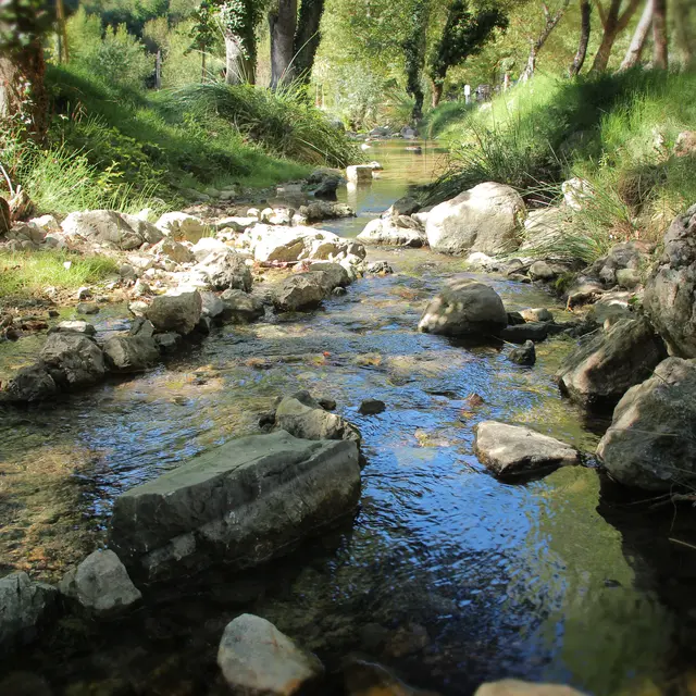 Les Sources des Nayes_Saint-Zacharie
