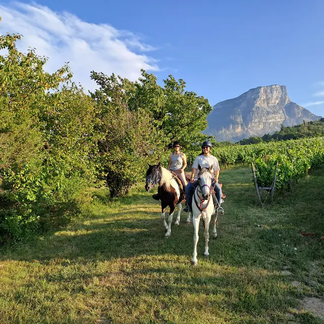 Randonnée à la journée, vignes & contreforts de Chartreuse en duo_Chapareillan