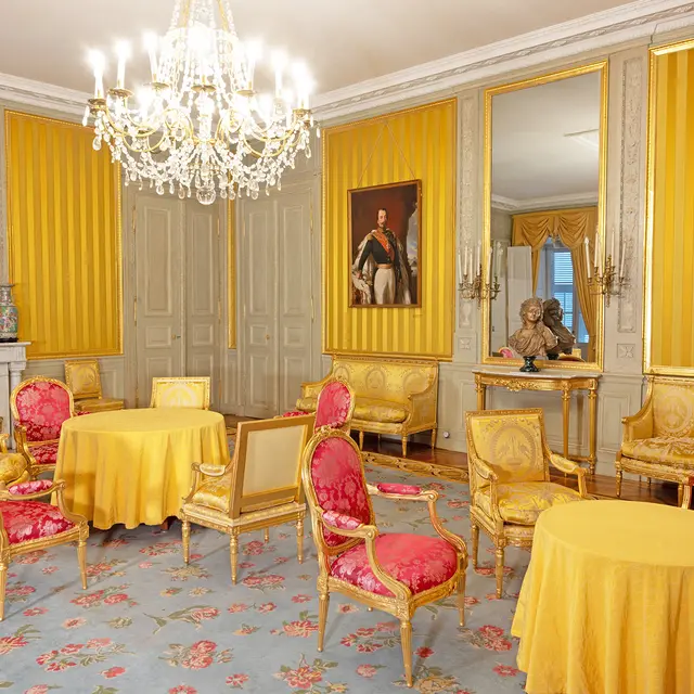 Visite exceptionnelle I Les salons d'honneur du château_Chambéry