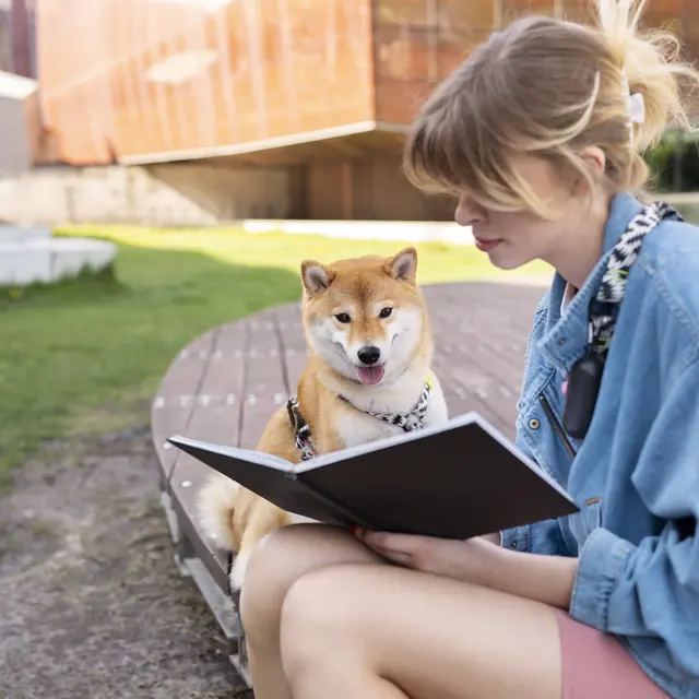 chiens lecteurs