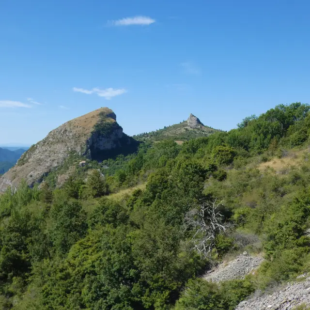 Journées Européennes du Patrimoine : conférence Les forêts de Saint-Geniez_Saint-Geniez