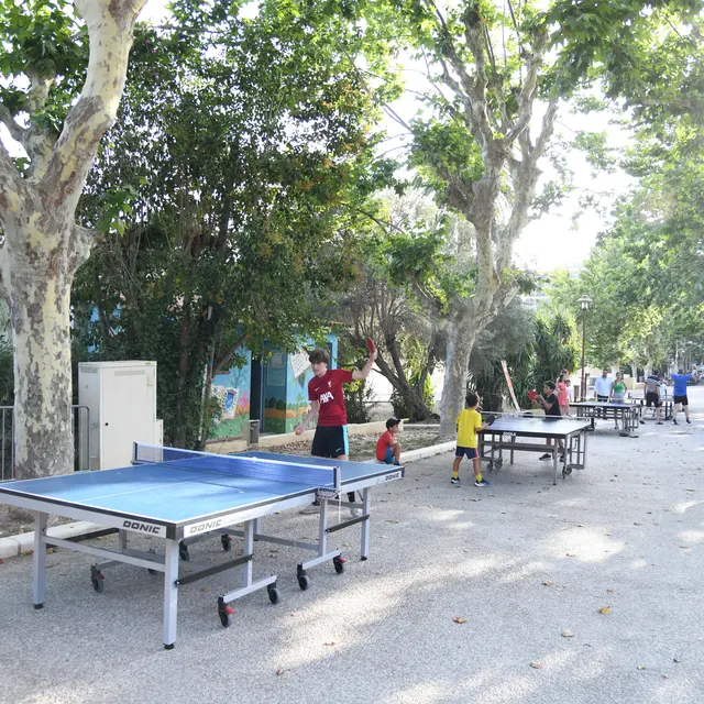 tennis de table le cannet