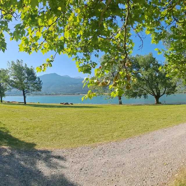 VERONIQUE LORENZELLI