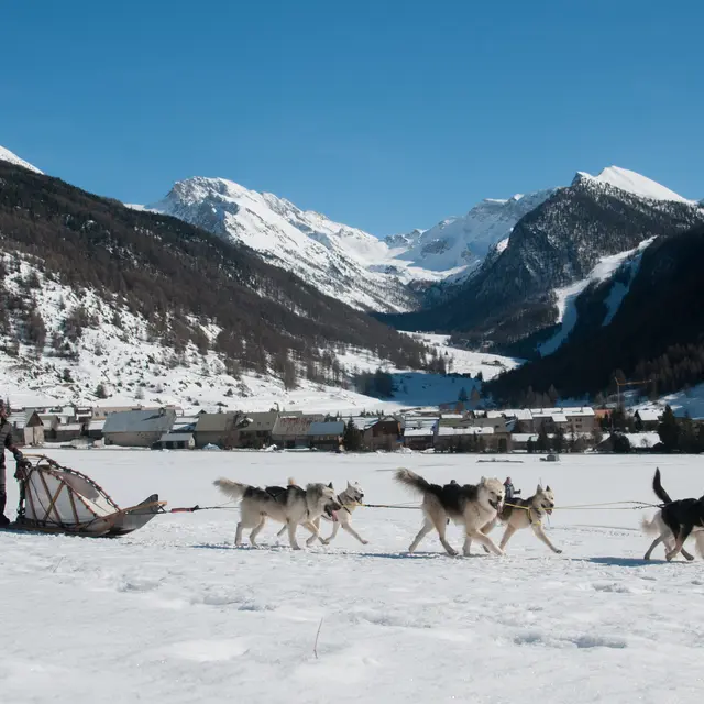 Balade en traineaux à chiens_Ceillac