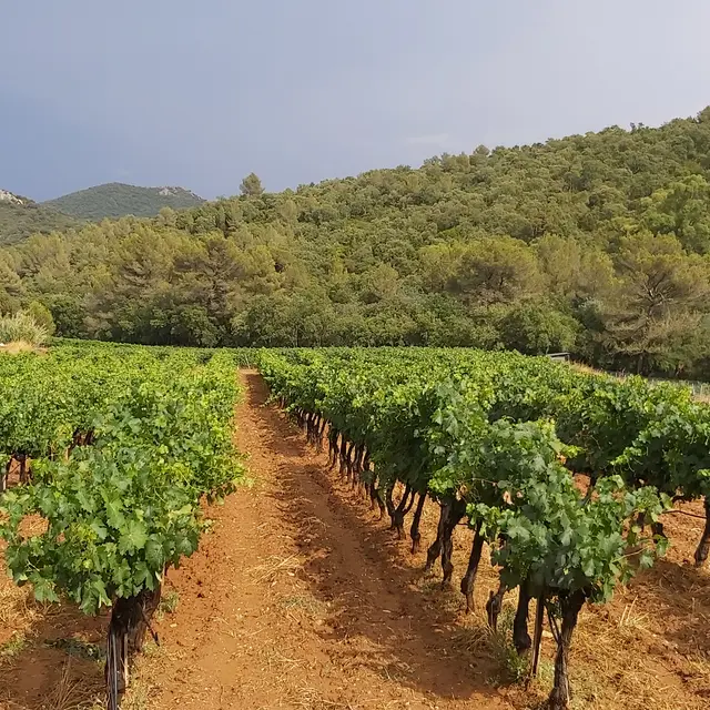 Location saisonnière à La Londe les Maures