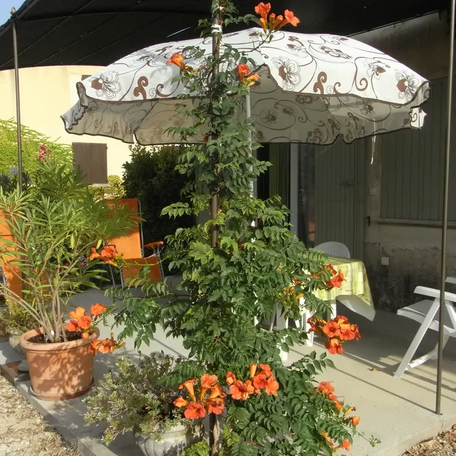 Gîte la Charette Rouge à Caromb