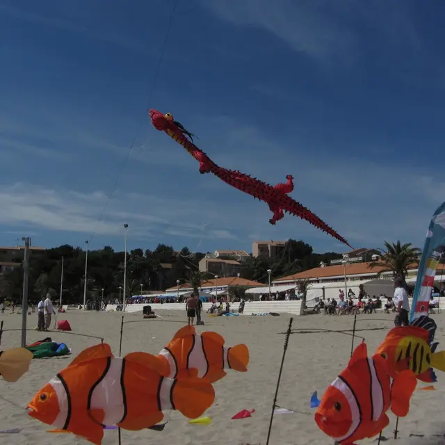 Festival de cerfs-volants_Martigues