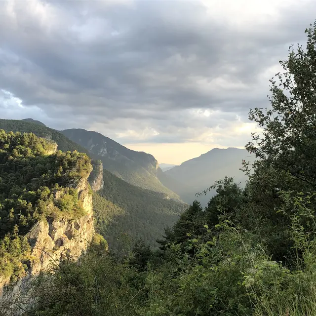 Découvrir les plantes médicinales et comestibles_Tende