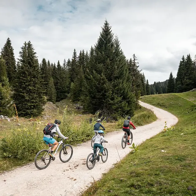 Piste VTT FFC verte 1 - La Féclaz