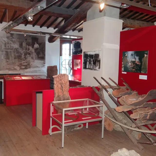 exposition liège