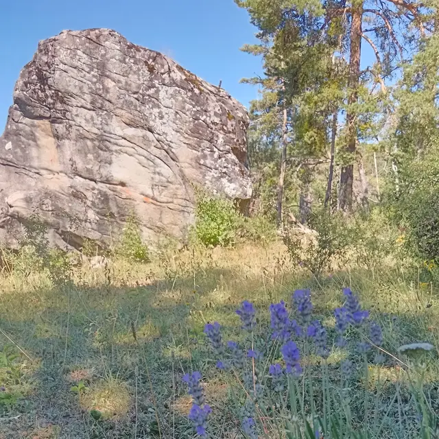 VTT n°10 - La Grosse Pierre_Selonnet