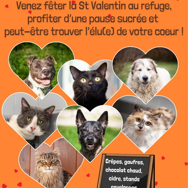 Portes ouvertes APAGI