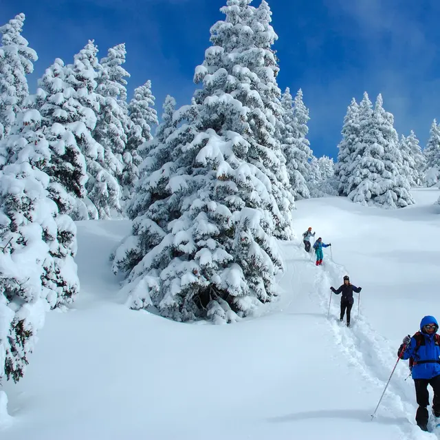 Descente-Compagnie des guides
