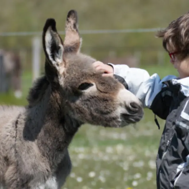 La ferme pédagogique_Vence