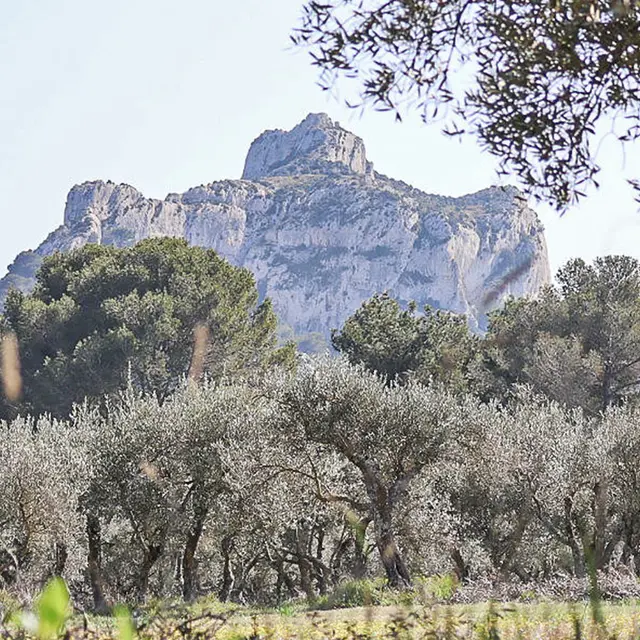 Site d'escalade de Saint-Rémy-de-Provence - Mont Gaussier_Saint-Rémy-de-Provence
