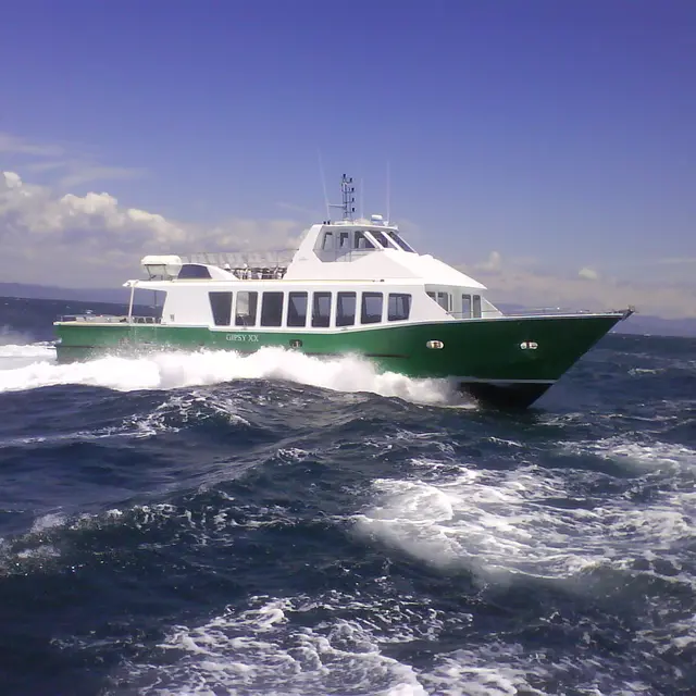Bateaux Verts