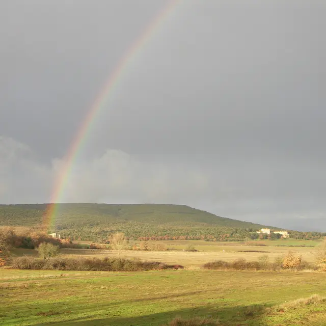 L’entomofaune de la Verdière_La Verdière