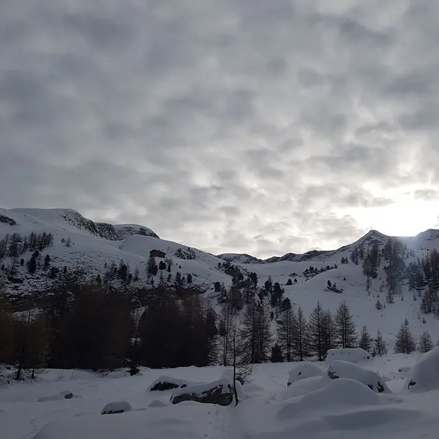 Balade gourmande à Ancelle_ Accompagnateurs en Montagne Champsaur Valgaudemar