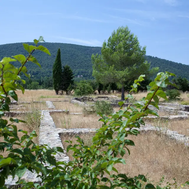 Villa loou_La Roquebrussanne