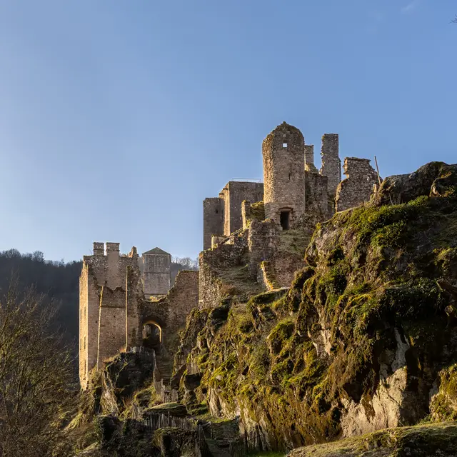Visite guidée Dans les pas des Seigneurs de Merle