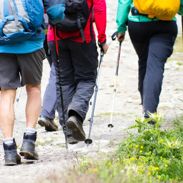 Marche du téléthon_Marclopt