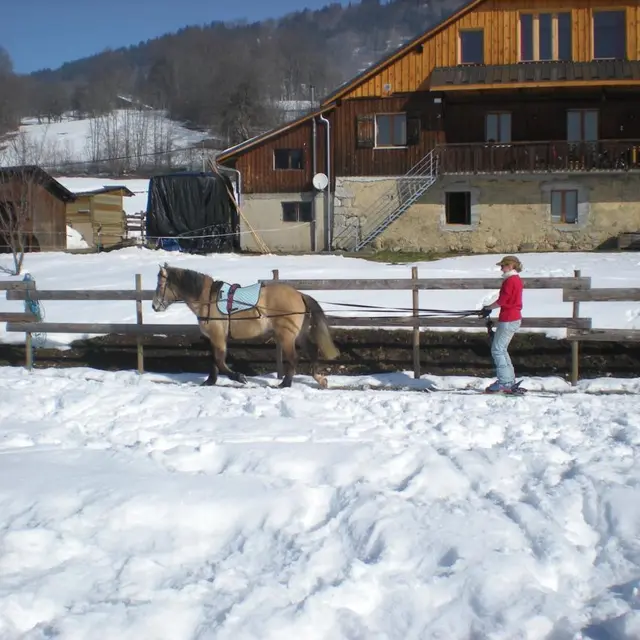 Gite Les Paddocks du Mont-Blanc