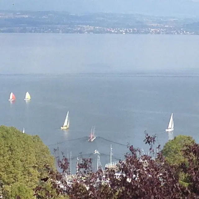 vue sur le lac