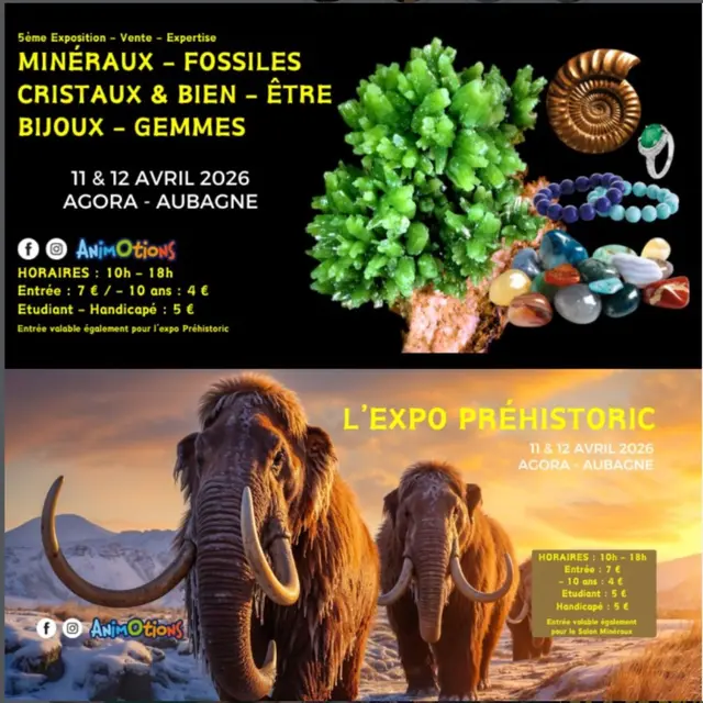 5e salon des minéraux, fossiles et gemmes_Aubagne