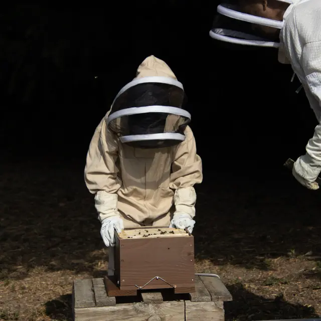 Ateliers - Happy Culture_Orange