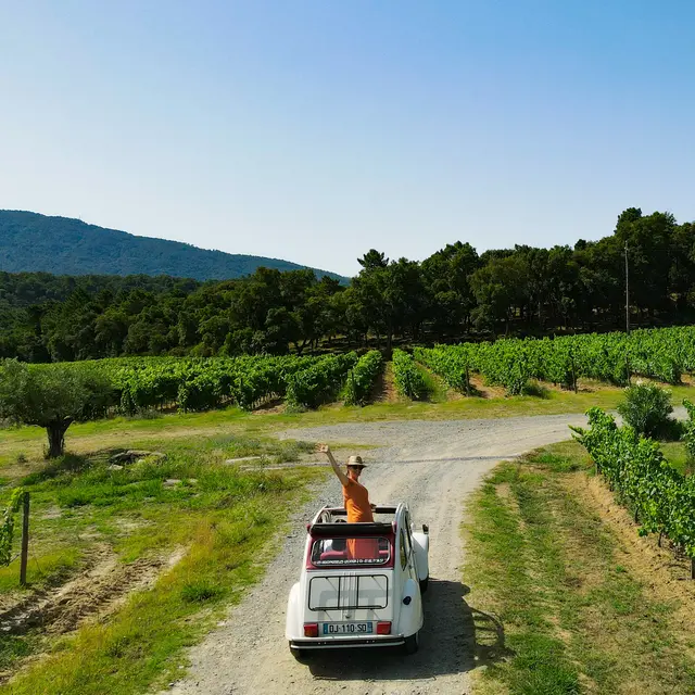 Balade en 2CV, visite de domaine et partie de pétanque_Cogolin