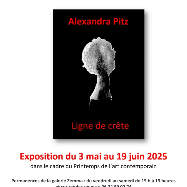 Alexandra Pitz - ligne de crête_Marseille