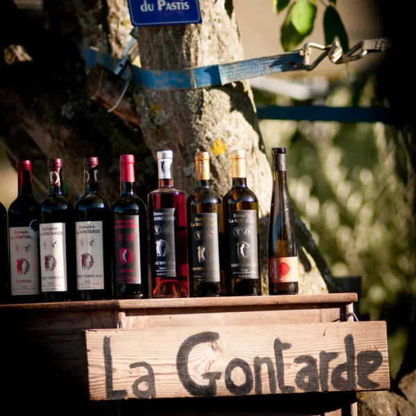 Domaine la Gontarde_Visan